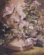 Still-life (mk47) Mrs Theodore Henry Fielding